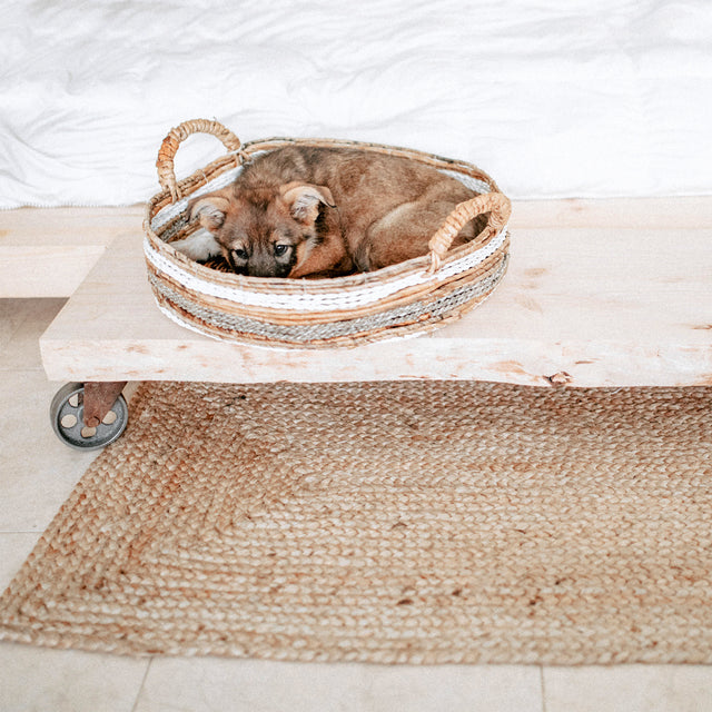 Nahua unregelmäßiges Canto -Auto